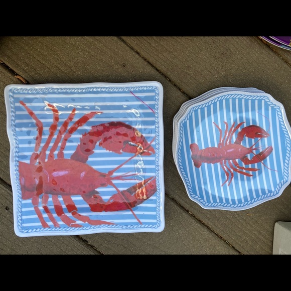 Other - Acrylic outside plates beautiful plastic